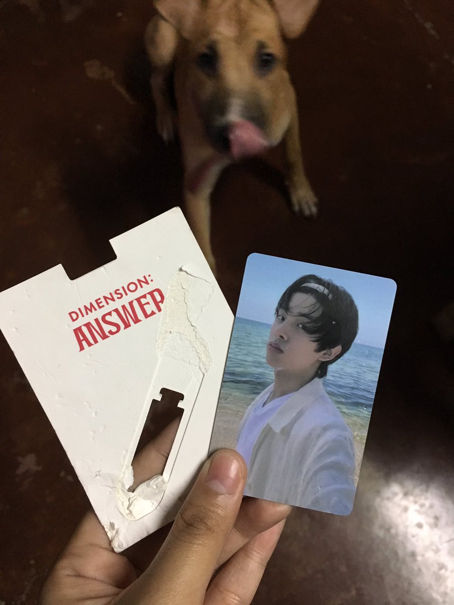 1995BASKET's tweet photo. stfu! walang dog food later 🤬🤬🤬 https://t.co/oBftLPHqZH