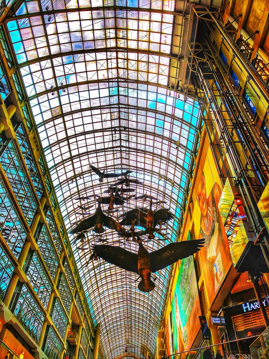 MetaOptics tweet media