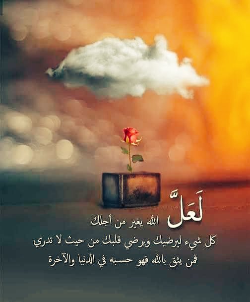 نور القمر (@mhmdals47400254) on Twitter photo 