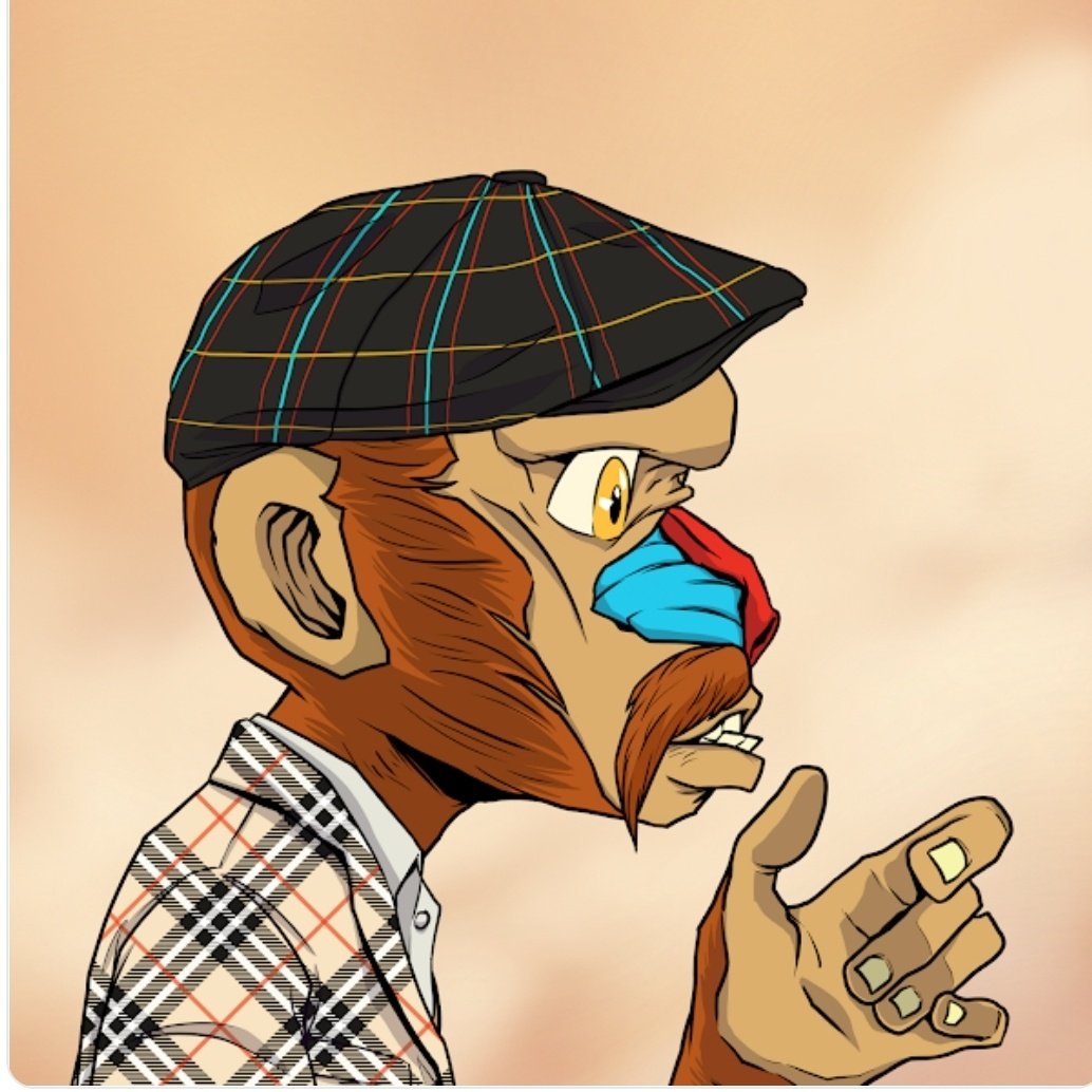 Dapper 🔺 tweet media