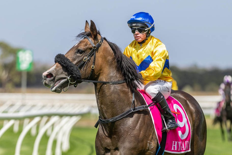 Racing SA on Twitter "One of LincolnMoore17's best at