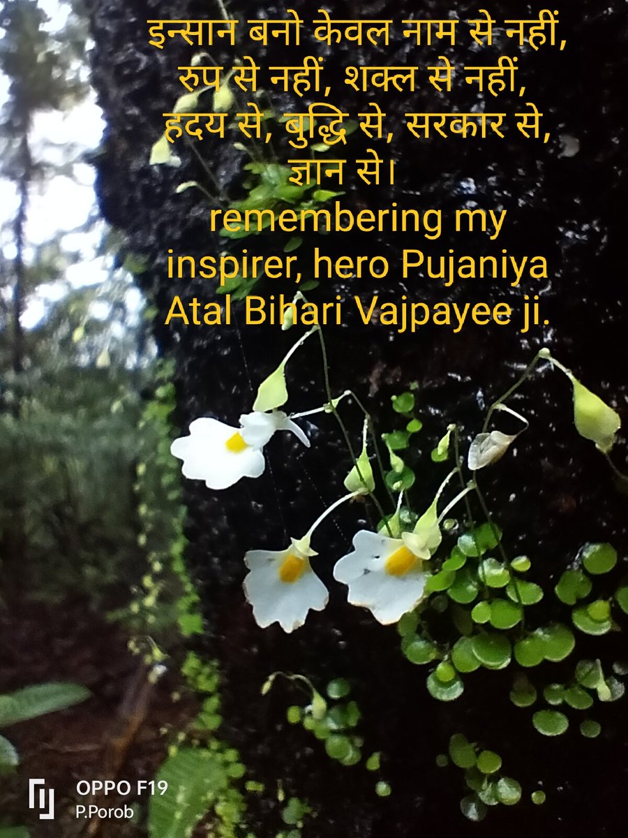 PorobParesh's tweet photo. Remembering Pujaniya Shri Atal Bihari Vajpayee on his death anniversary, orator par excellence, dynamic leader, great inspirer and my Hero. May his words of wisdom inspire many to build a better nation. #MeraBharatMahaan #IndiaAt75 #India #Goa https://t.co/0cTXc0p4ly