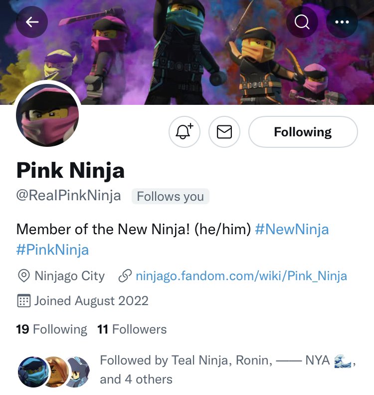 Pink is here!!!
We are one step closer to assembling the team!!
#NewNinja