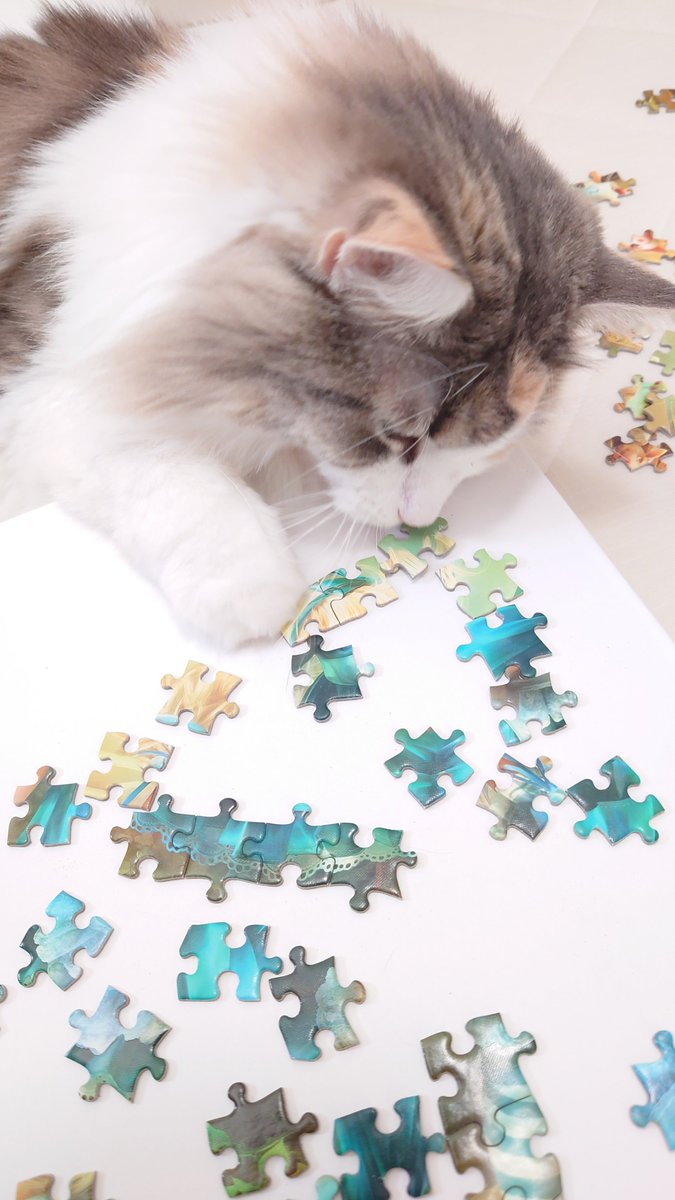 emma22nor's tweet photo. 手伝ってくれる助手付き😺

#うちの猫
#ジグソーパズル
#たまに盗られる https://t.co/Ry9HHpmZT7