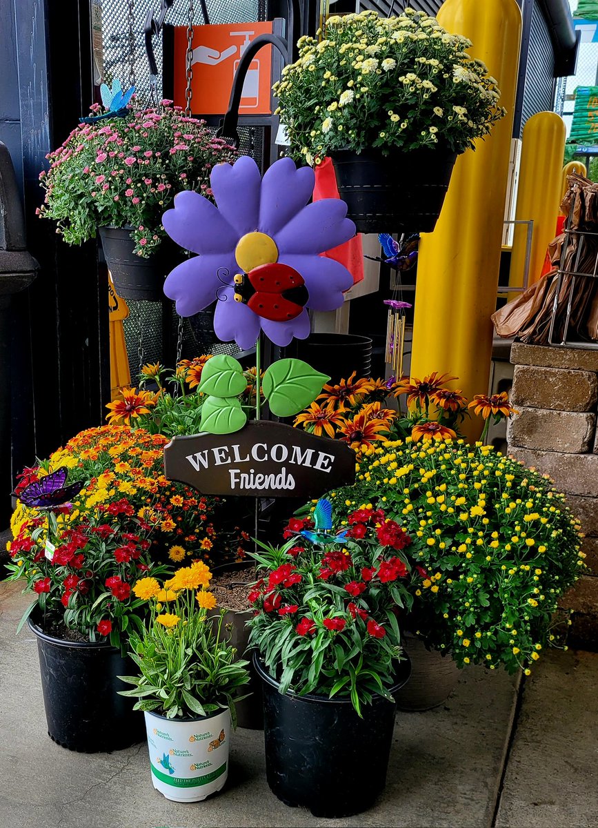 ross capparelli tweet media