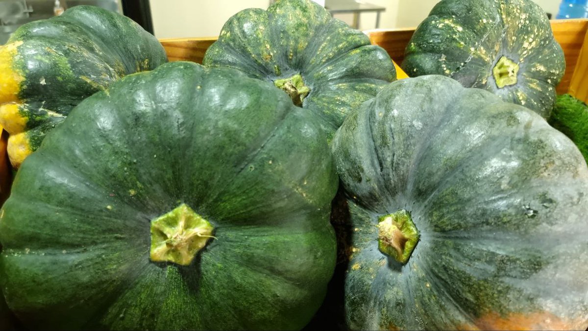 އއ. ތޮއްޑޫއިން ވަރަށް ތާޒާ ފަތި ބަރަބޯ ޝިޕްމެންޓެށް މިއަދު ވަނީ އެގްރިސެންޓަރަށް ލިބިފަ. 🙂 
ހޯލް ސޭލް: 22 ރުފިޔާ (5 ކިލޯ ފެށިގެން)
އޯޑަރު ކޮށްލެއްވުމަށް 3012640 އަށް ގުޅުއްވާލައްވާ، ނުވަތަ 7291130 ވައިބާރ ކޮށްލައްވާ.