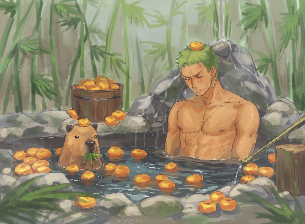 shelky_tprt's tweet image. #zoro 🌿🍊