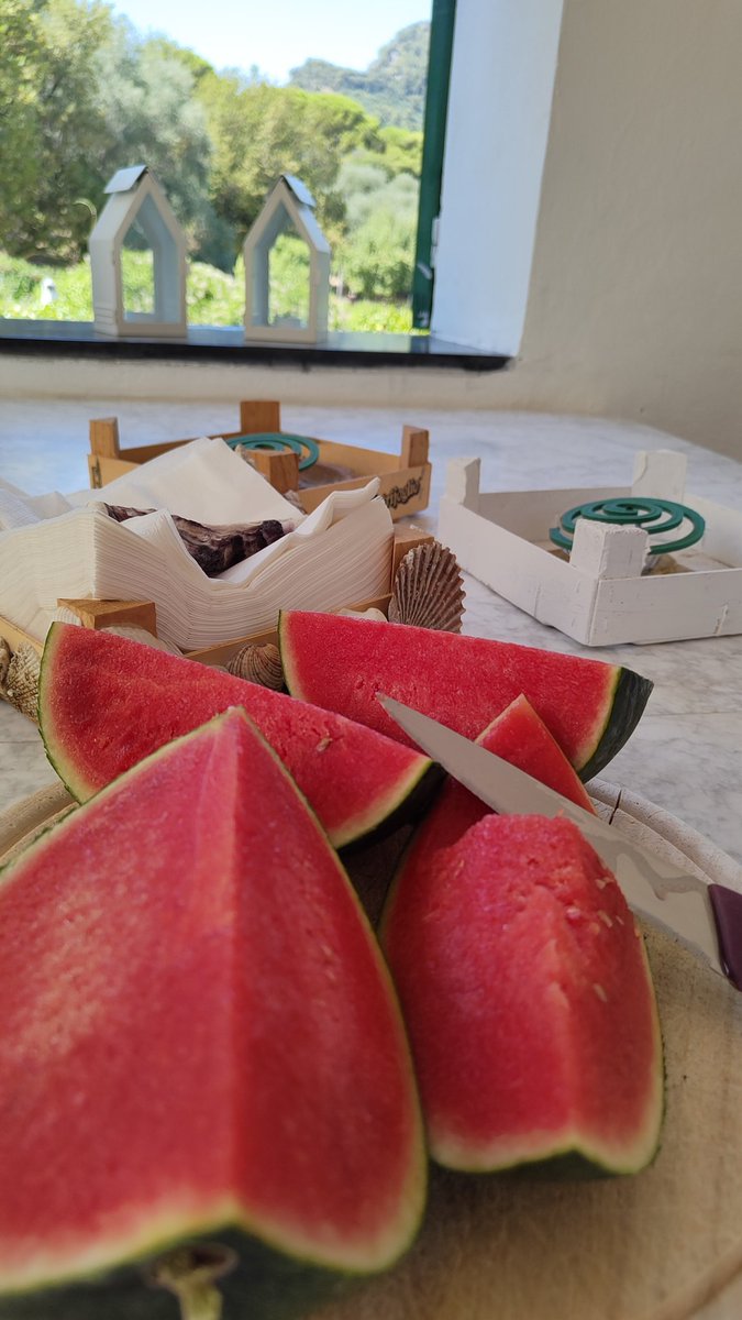 claudialupi's tweet photo. Dotazione estiva 🍉 anguria tovaglioli zampirone https://t.co/GFnmyoXN7L
