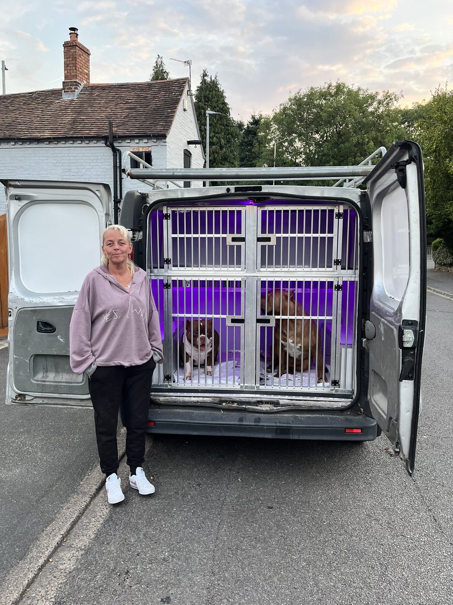 MPetConnect's tweet photo. Wee trip over to bring these 2 beauty’s to their new home for their mammy 🥰 they were such good boys absolute pleasure to transport, thanks Jo Halford for the trust on bringing your boys over to you &amp; have an amazing time in your new home xx #petravel https://t.co/6LGS4l3vWt