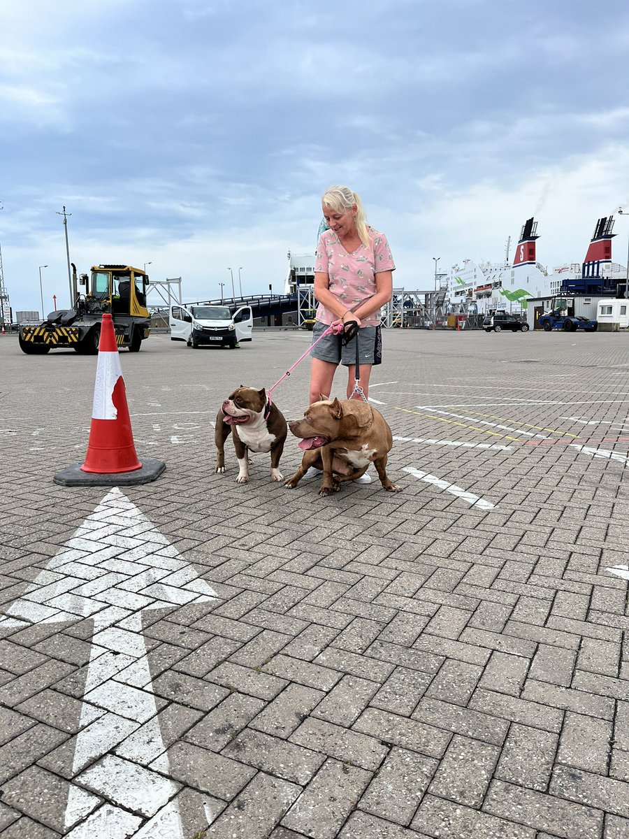 MPetConnect's tweet photo. Wee trip over to bring these 2 beauty’s to their new home for their mammy 🥰 they were such good boys absolute pleasure to transport, thanks Jo Halford for the trust on bringing your boys over to you &amp; have an amazing time in your new home xx #petravel https://t.co/6LGS4l3vWt