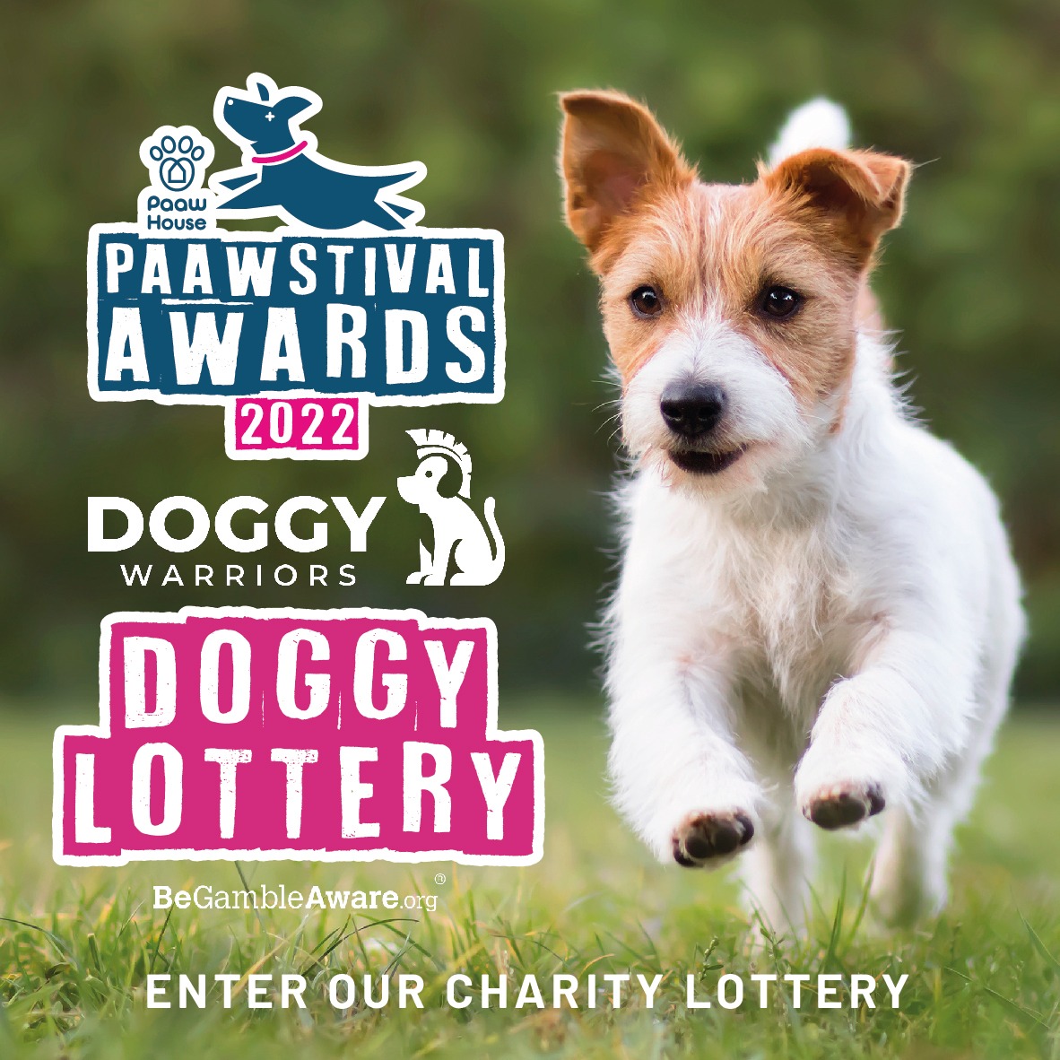 DoggyWarriors's tweet photo. We are super excited to be hosting the official charity lottery for the PAAWstival Awards 2022

Enter for £1.50 and raise funds for:
- Wild at Heart Foundation
- StreetVet
- Dogs 4 Rescue
- Nowzad
- Animal Rescue Kefalonia UK

https://t.co/ISJWwl5QsA
18+, UK only. Tc&amp;Cs apply. https://t.co/2Kxr6QxMG5