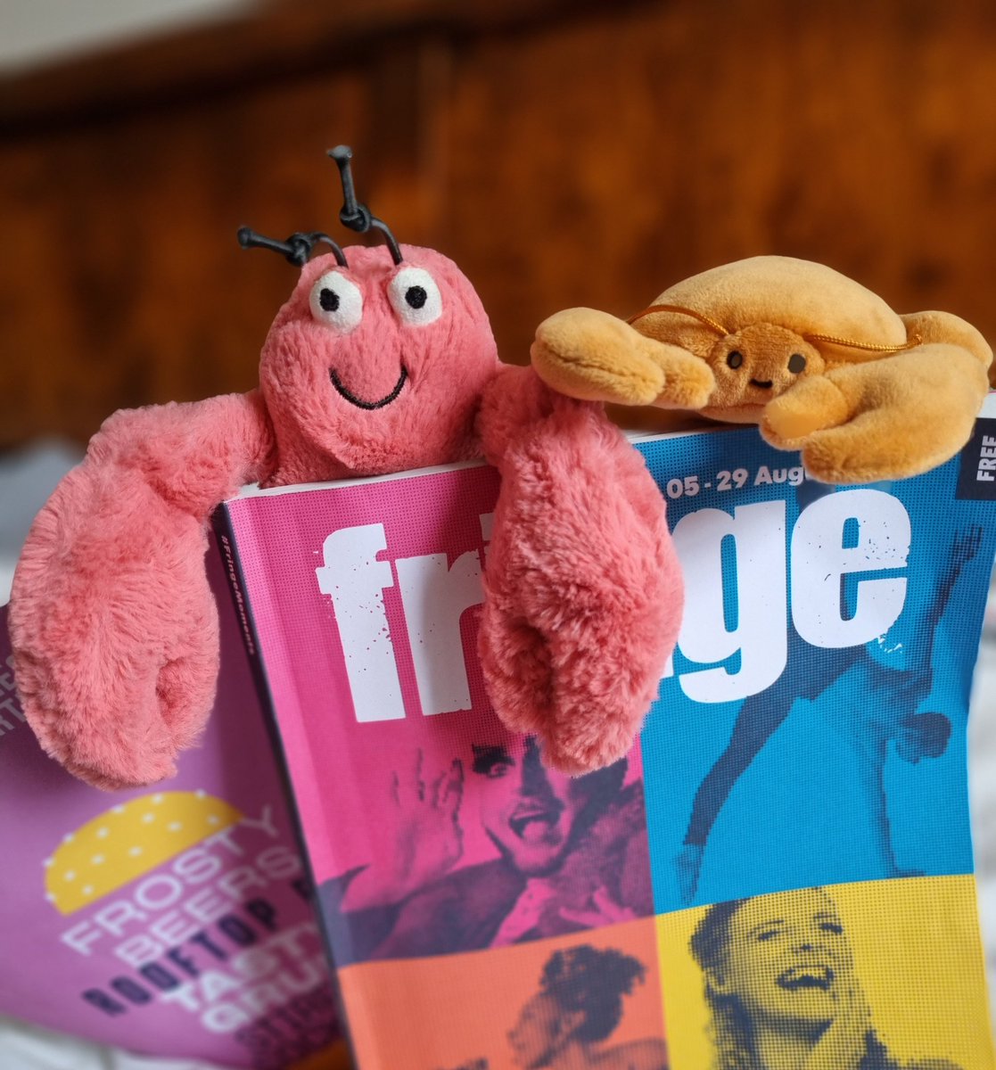 The lobster has a free review slot, this evening between 6.30pm and 10pm. He's looking for great theatre (no musicals, stand up or improv just for today) so if you'd like the crustaceans in tonight, let us know below🦞🦀
#edfringe #edfringe2022 #edfringereviews