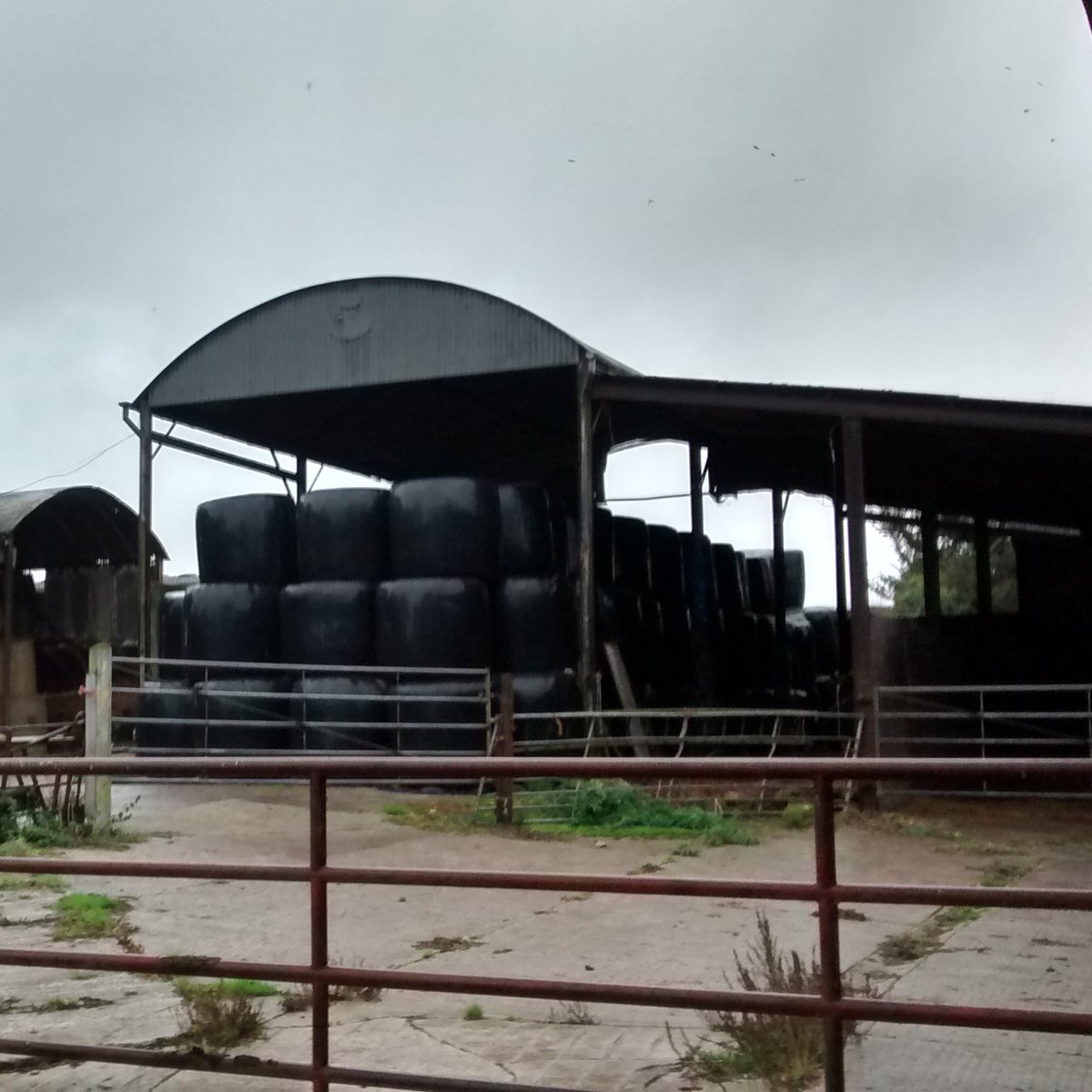 A huge throwback to the Clayhill Arts farmyard when we arrived at the site back in 2015!

We are so excited to finally announce that our 40-seat cinema will be officially opening at the end of August!

Follow <a href="/TheCinebarn/">The Cinebarn</a> for upcoming events at Clayhill Arts!