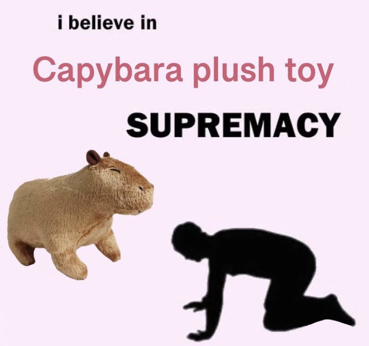 CapybarasForLife (@capys_for_life) on Twitter photo 
