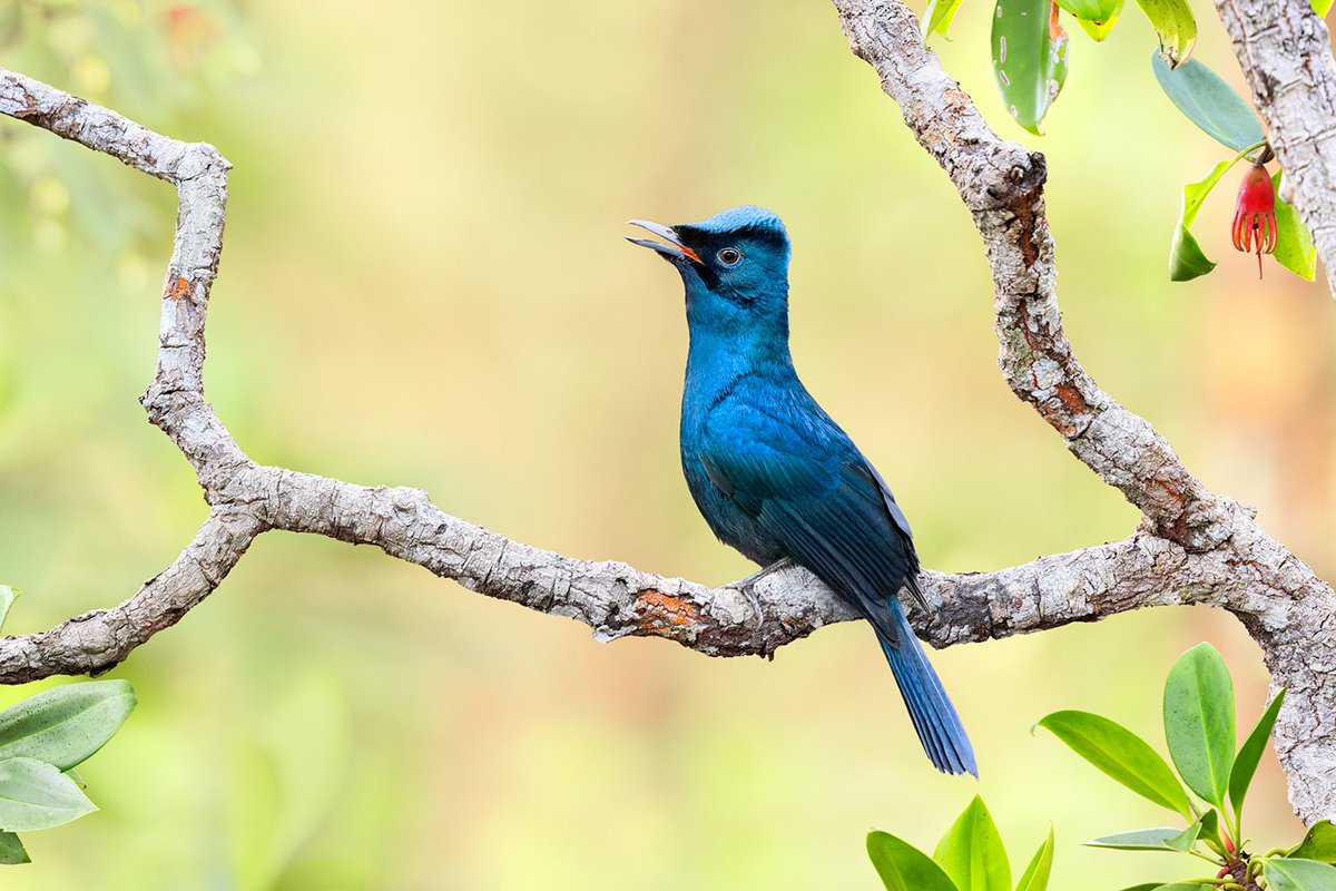 Jan Wegener tweet media