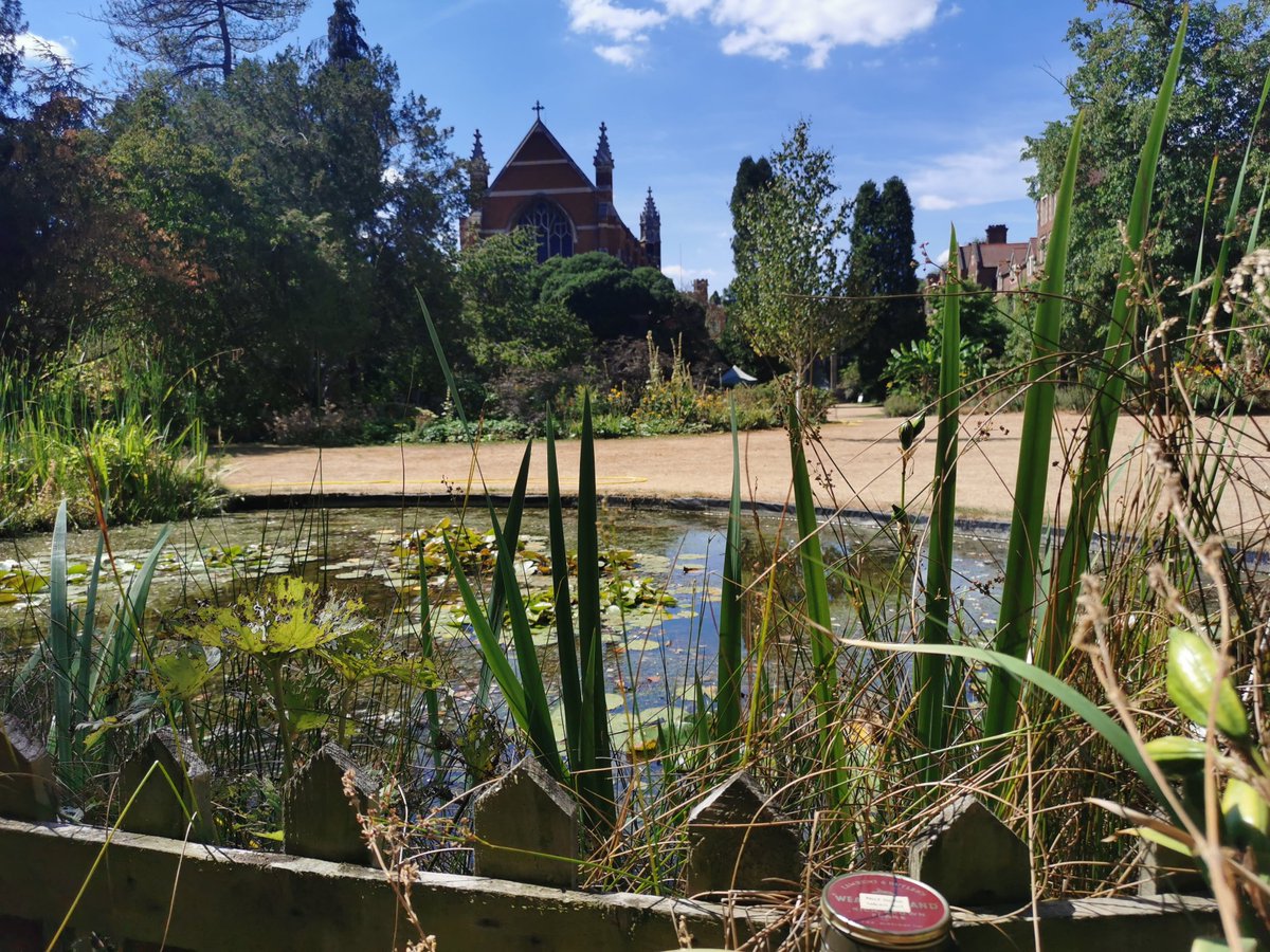 mmpawlikowski's tweet photo. Day 2 of #NotToBeTakenOut on tour. Reunion with "Please Do Not Leave..." trolley notice @Selwyn1882 college archive, stunning walk around the gardens and brief encounter with a #BeeFriend. Love that place so close to @theUL @theULSpecColl https://t.co/Qi0wR68LP0