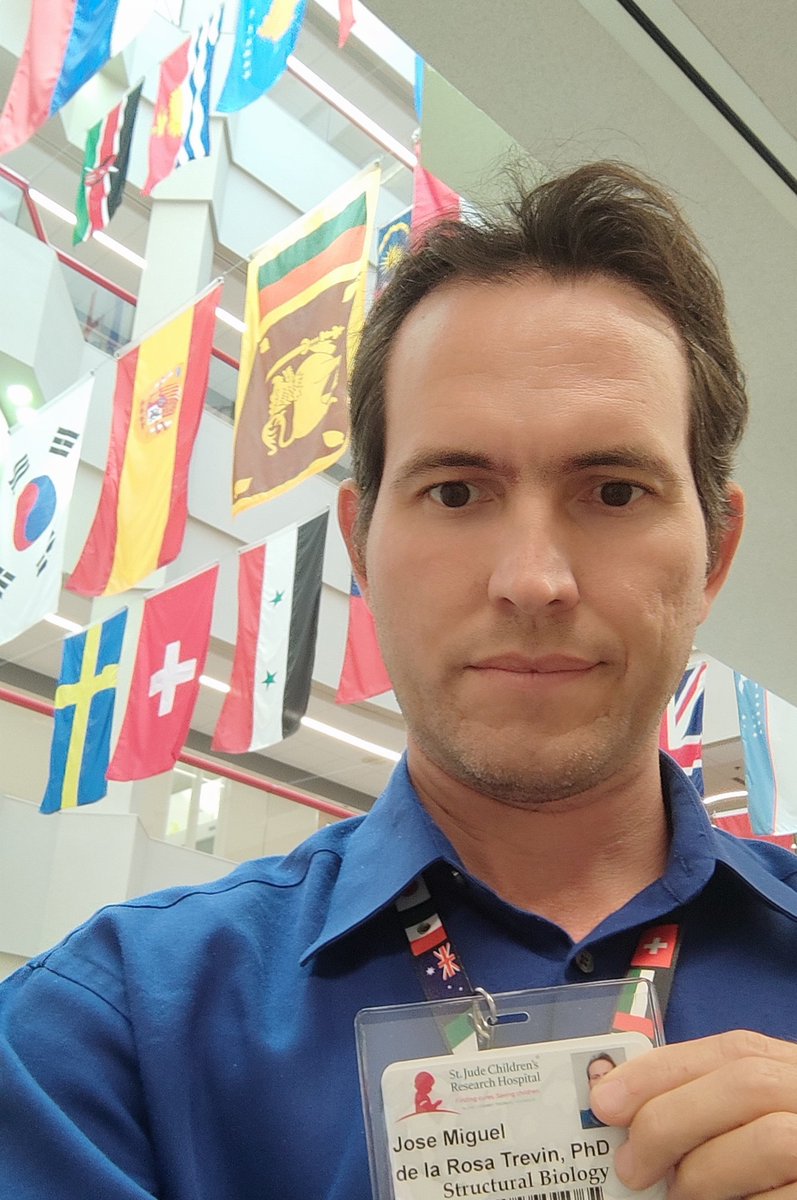 JM de la Rosa Trevin tweet media