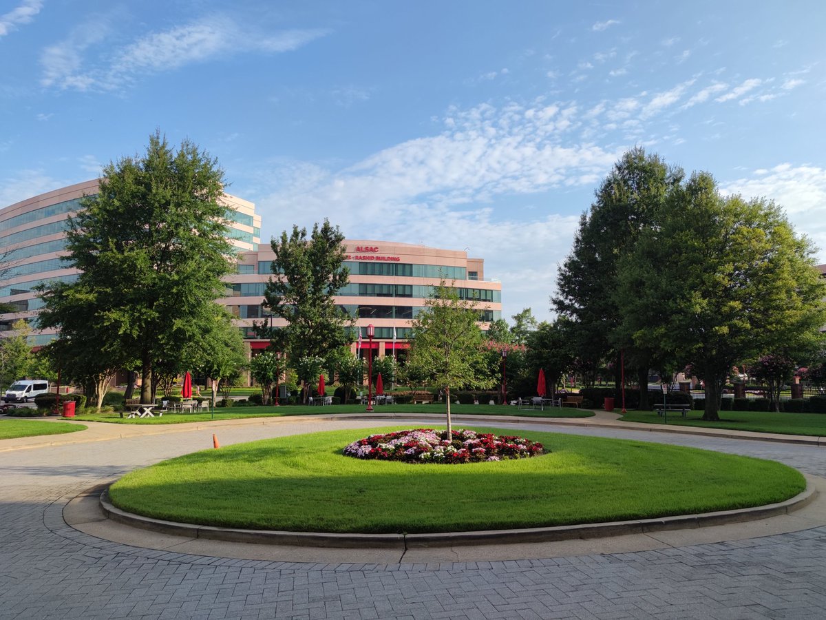 JM de la Rosa Trevin tweet media