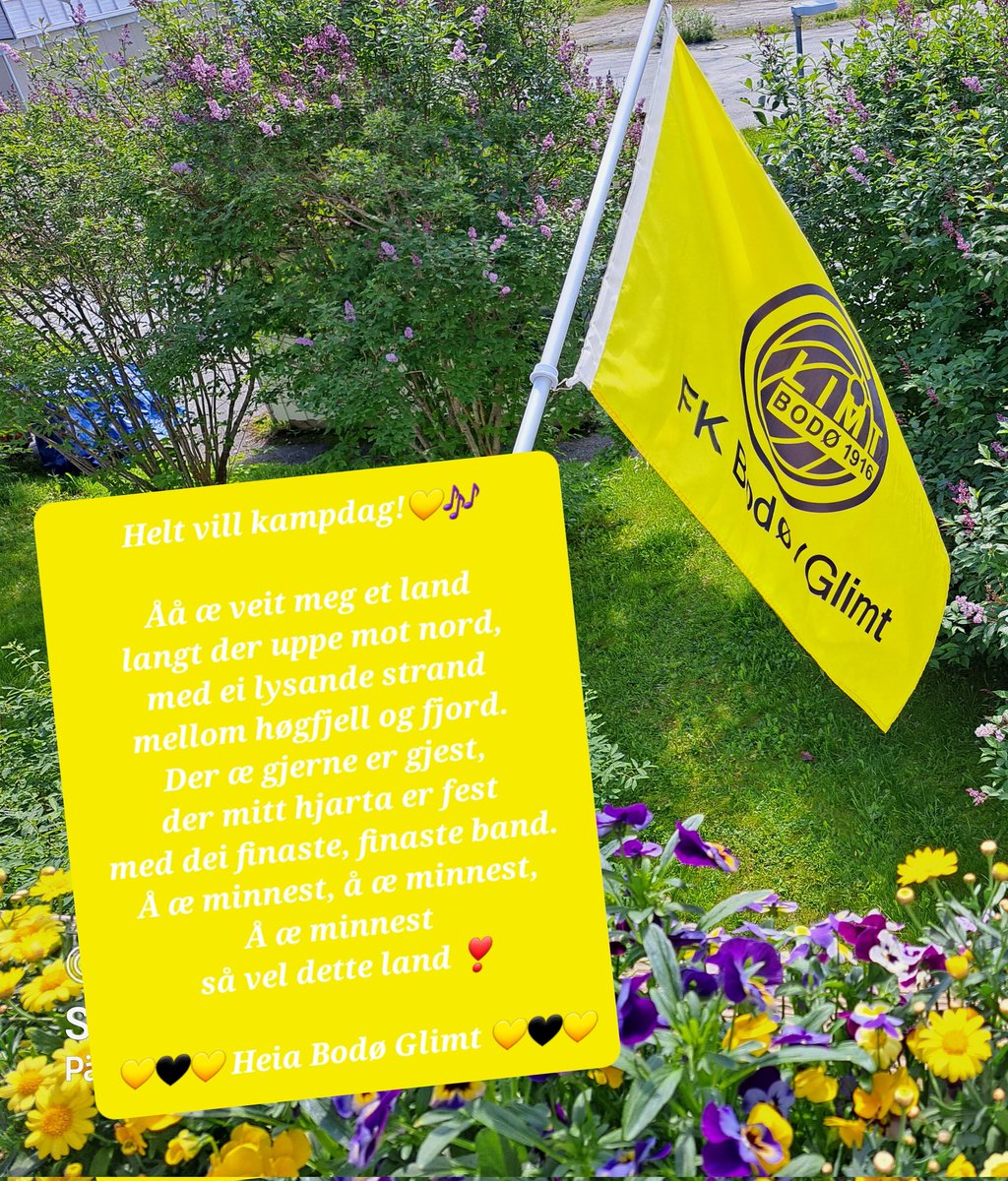 💛 Heia Bodø Glimt 💛
Tipper:
 Bodø Glimt 3 - 1 Dinamo Zagreb
