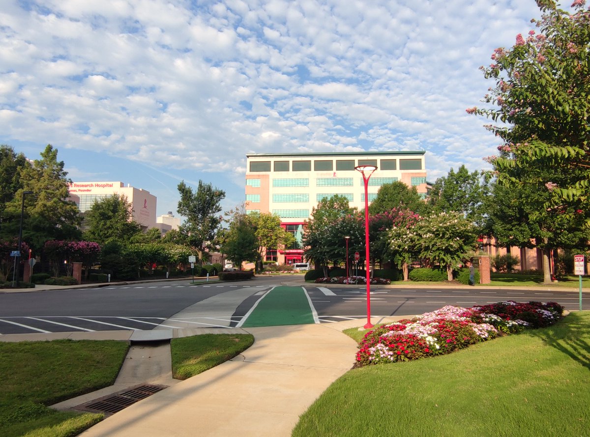 JM de la Rosa Trevin tweet media