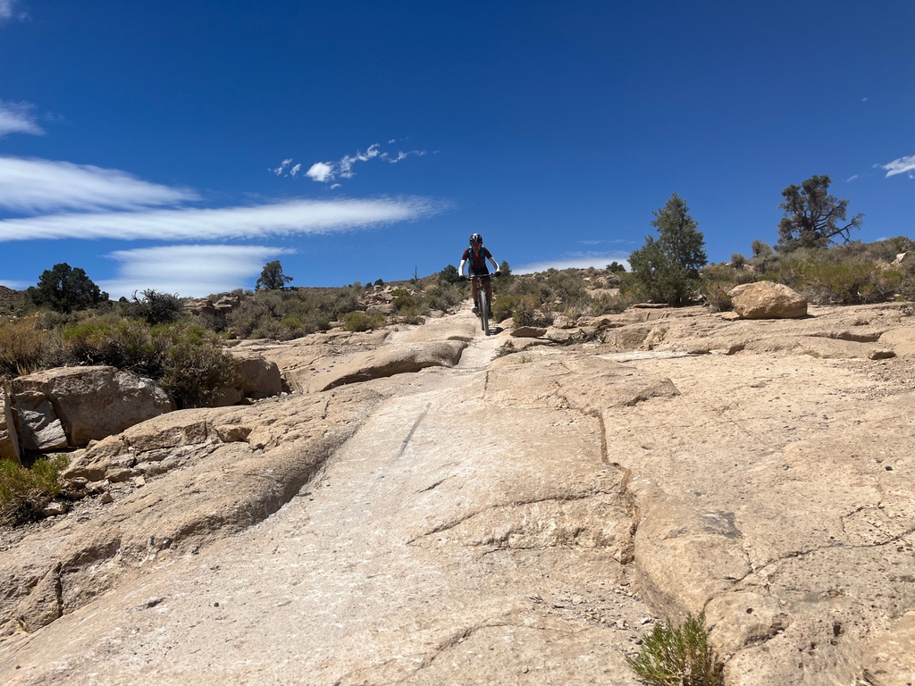 usadventurerace's tweet photo. Slick...and why you need those newer brake pads at the 2022 USARA National Championship!
#weARtogether #gearjunkie #toyotatundra
#USARA #USARAnationals #bishopcalifornia #goldrushadventureracing #alloutevents #adventureracing #adventurerace #easternsierra https://t.co/gTkB32tgVk