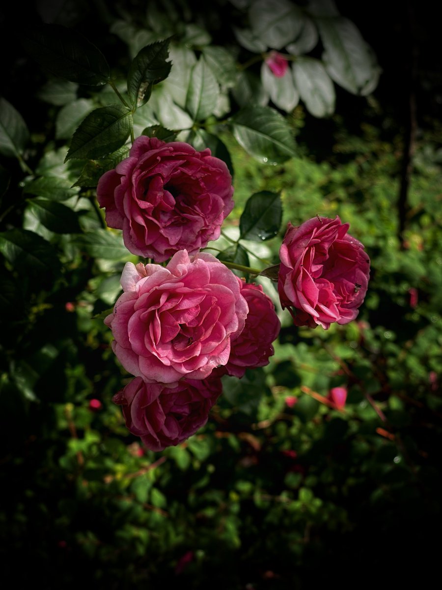 Zeitwunden's tweet image. 