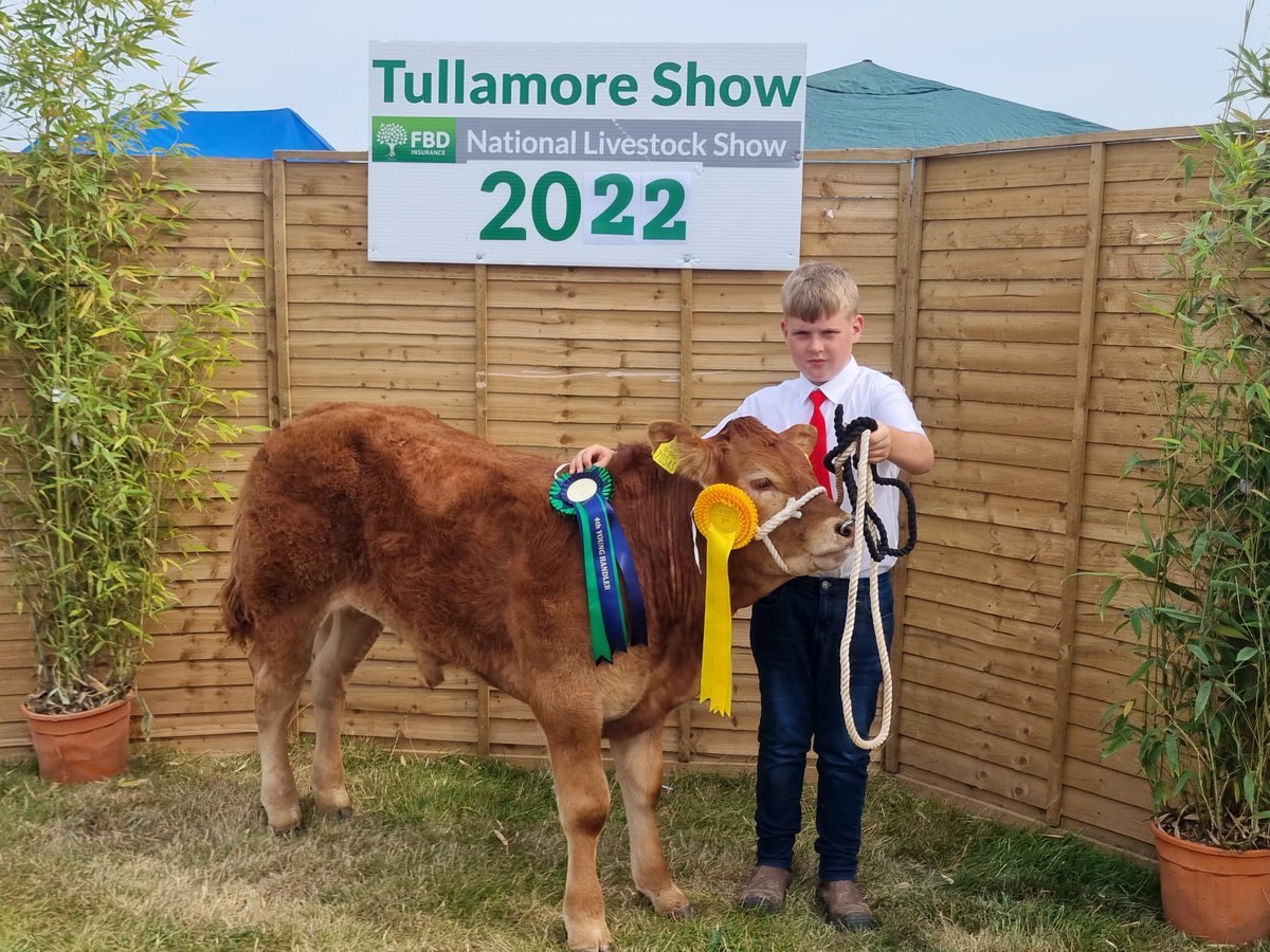 rmcgarry1's tweet photo. Any day you come home with rosettes from tullamore isnt a bad day ๐๐ @tullamoreshow @wws_ireland @irishlimousin #thenextgeneration #younghandler #sucklerfarmer #showseason https://t.co/BB8yQbC9j0