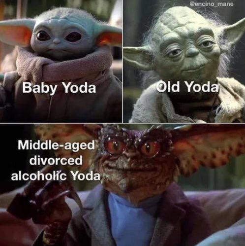 rPrequelMemes's tweet photo. Yoda which one you is? https://t.co/gwwY2mcVdq https://t.co/AZXSNPSJHY