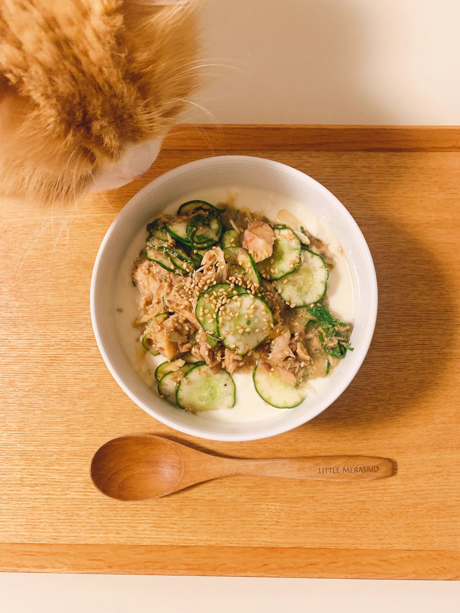 食欲ないのでごはんではなく豆乳とお豆腐にかけたけど、美味しかった😋サバ缶のにおいにつられた猫も添えて...  