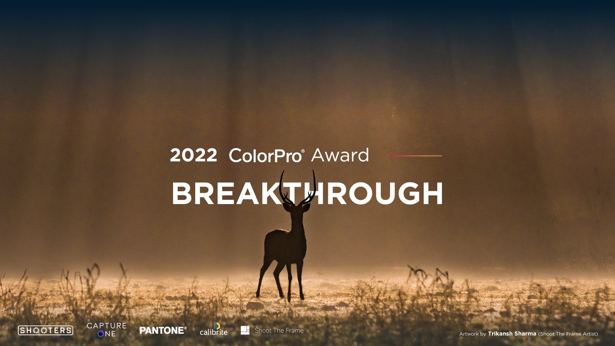Global Fotoğraf Yarışması ColorPro Award 2022 Başlıyor
fotografdergisi.com/global-fotogra…
@ViewSonicTR