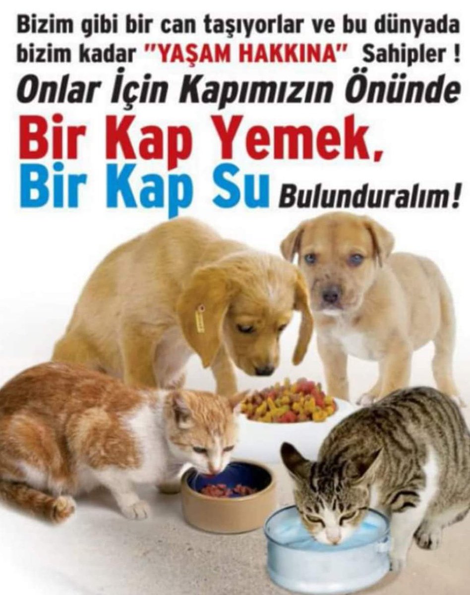 ESAkik's tweet photo. Doğal çevreyi kâr ve güce kurban eden bir yönetim insani ihtiyaçlara her zaman kulaklarını tıkar… https://t.co/7dBbqkqbq0