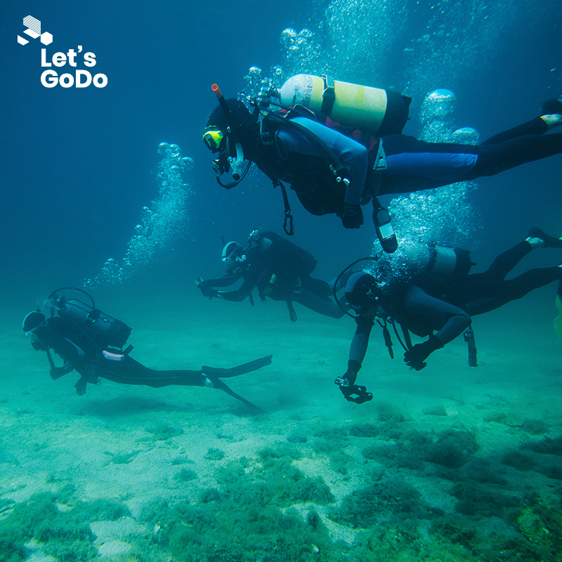 Let's GoDo tweet media