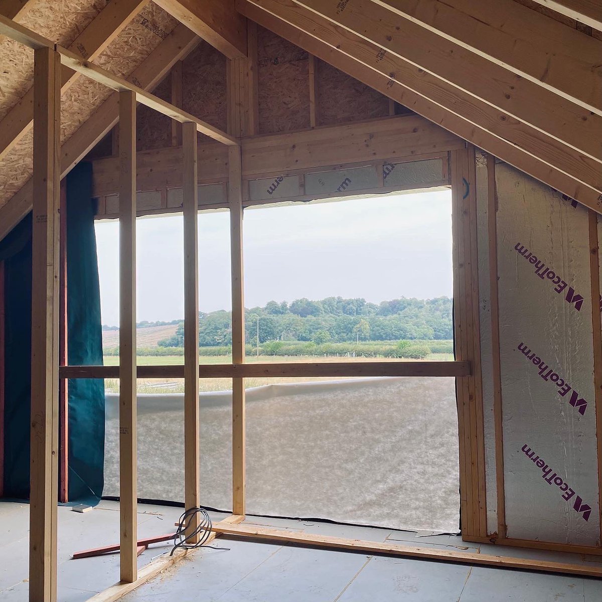 Ruth Donnelly tweet media