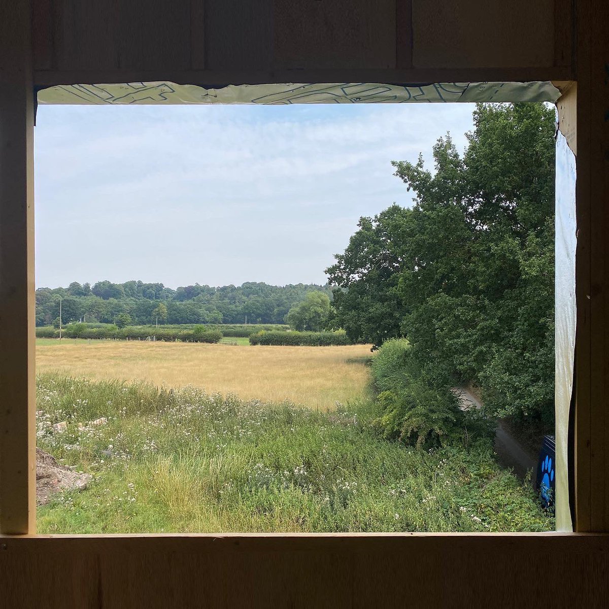 Ruth Donnelly tweet media