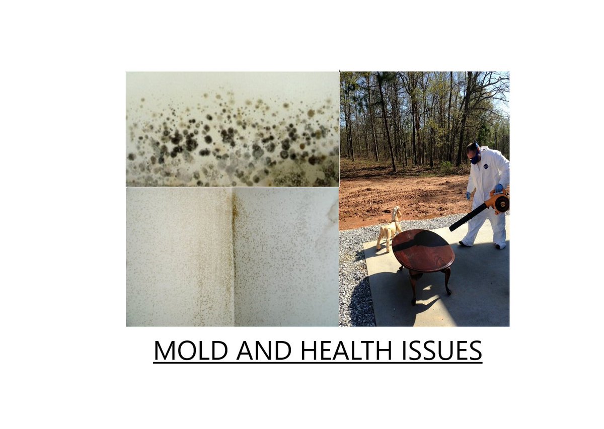 arrayofsolution's tweet image. Greenville, SC environmental consultant: Array of Solutions describes how mold testing is critical to understanding health issues. arrayofsolutions.com/mold-testing-i…
#mold #moldandhealth #healthissues #greenvillesc #moldtesting #moldremoval #blackmold