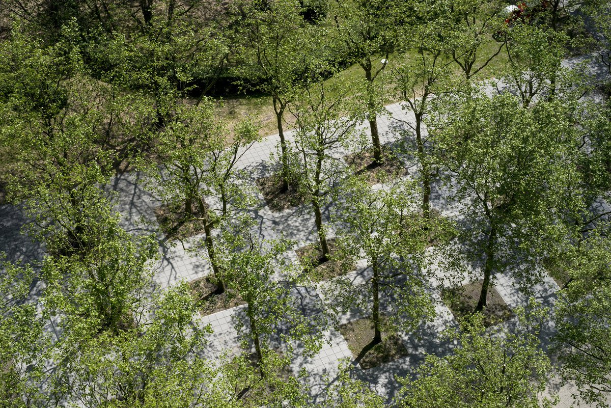 nyanda_works's tweet photo. Merging pavers with natural shade creates beauty within a space. 

Nyanda Works 
#mergingstructureandnature
0705099924.

#beauty #landscape #landscapedesign #landscapelovers #urbanplanning #urbanism #environmental #ClimateEmergency #ClimateActionNow https://t.co/mstUVSpfEA