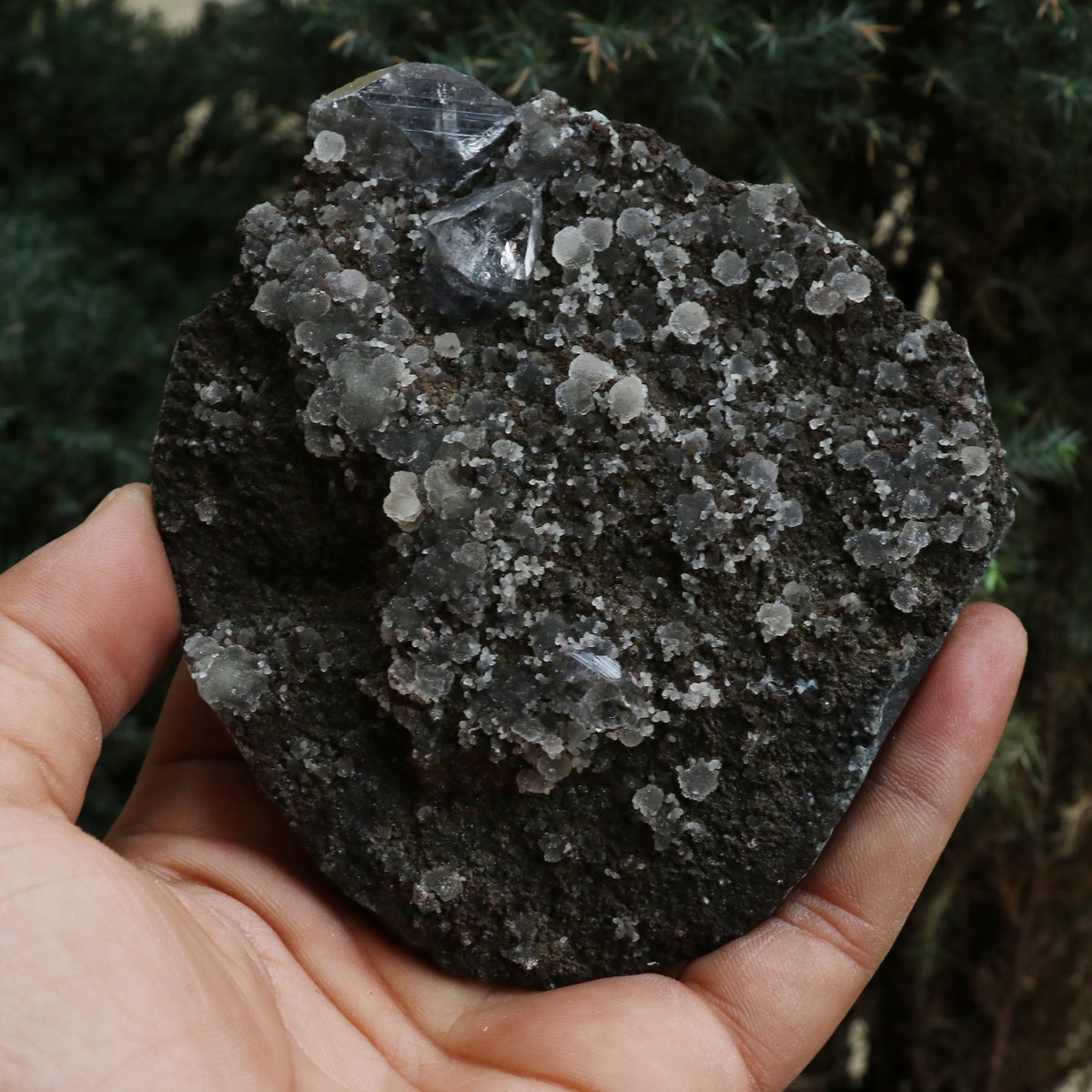 himalyaquartz's tweet photo. Natural Chalcedony Cluster
See More Info:- https://t.co/NufJzbo17u
#chalcedony #chalcedonyjewelry #chalcedonystone #gemstones #likeforfollow #crystals #crystalshop #stoneshop #life #stonelover #buystone #homedecor #stonehouse #homedecor #stonecrystal #online #instagood https://t.co/mfrmO7GTms