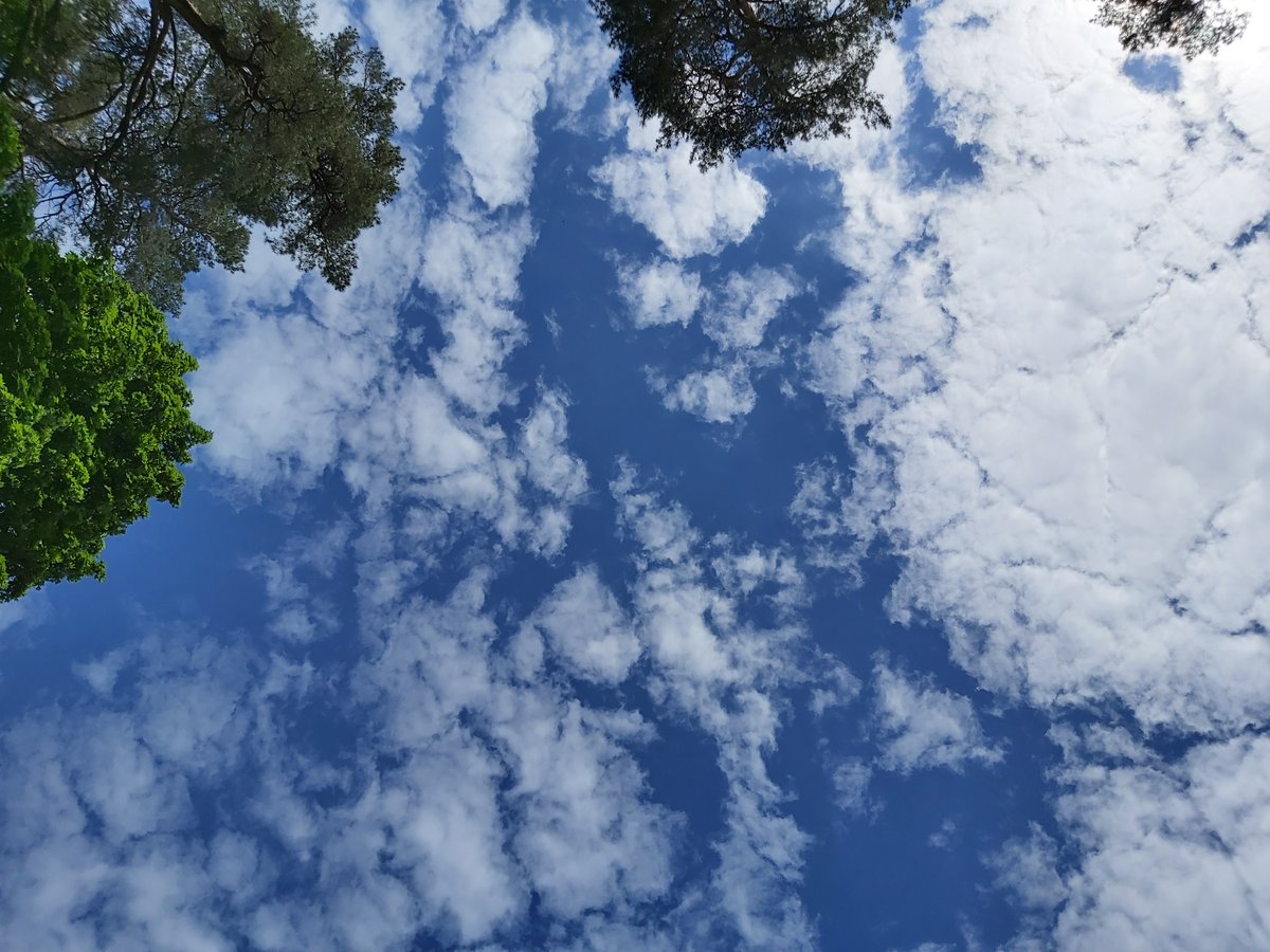 IsleSupport's tweet photo. Nature is so rich, and there is so much that can be gained from it – slower pace of life, observation of your surroundings, calmer inner-self, more awareness and understanding. Do you sometimes look at the sky? #support #supportisle #listenandbeheard #mental #mentalhealth https://t.co/YDw7X94yQz