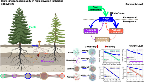 iMetaScience's tweet photo. Fungi stabilize multi‐kingdom community in a high elevation timberline ecosystem 
#fungi #microbiome #network #ecology #Ecosystems 
@wileymicrobio @wileyinresearch @WileyTech 
https://t.co/YMch9PjeWJ https://t.co/ahCZqWKCGq