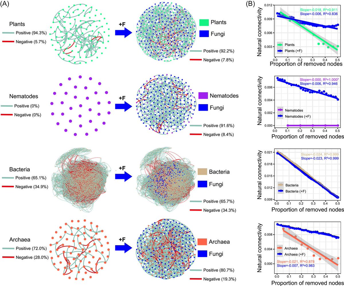 iMetaScience's tweet photo. Fungi stabilize multi‐kingdom community in a high elevation timberline ecosystem 
#fungi #microbiome #network #ecology #Ecosystems 
@wileymicrobio @wileyinresearch @WileyTech 
https://t.co/YMch9PjeWJ https://t.co/ahCZqWKCGq