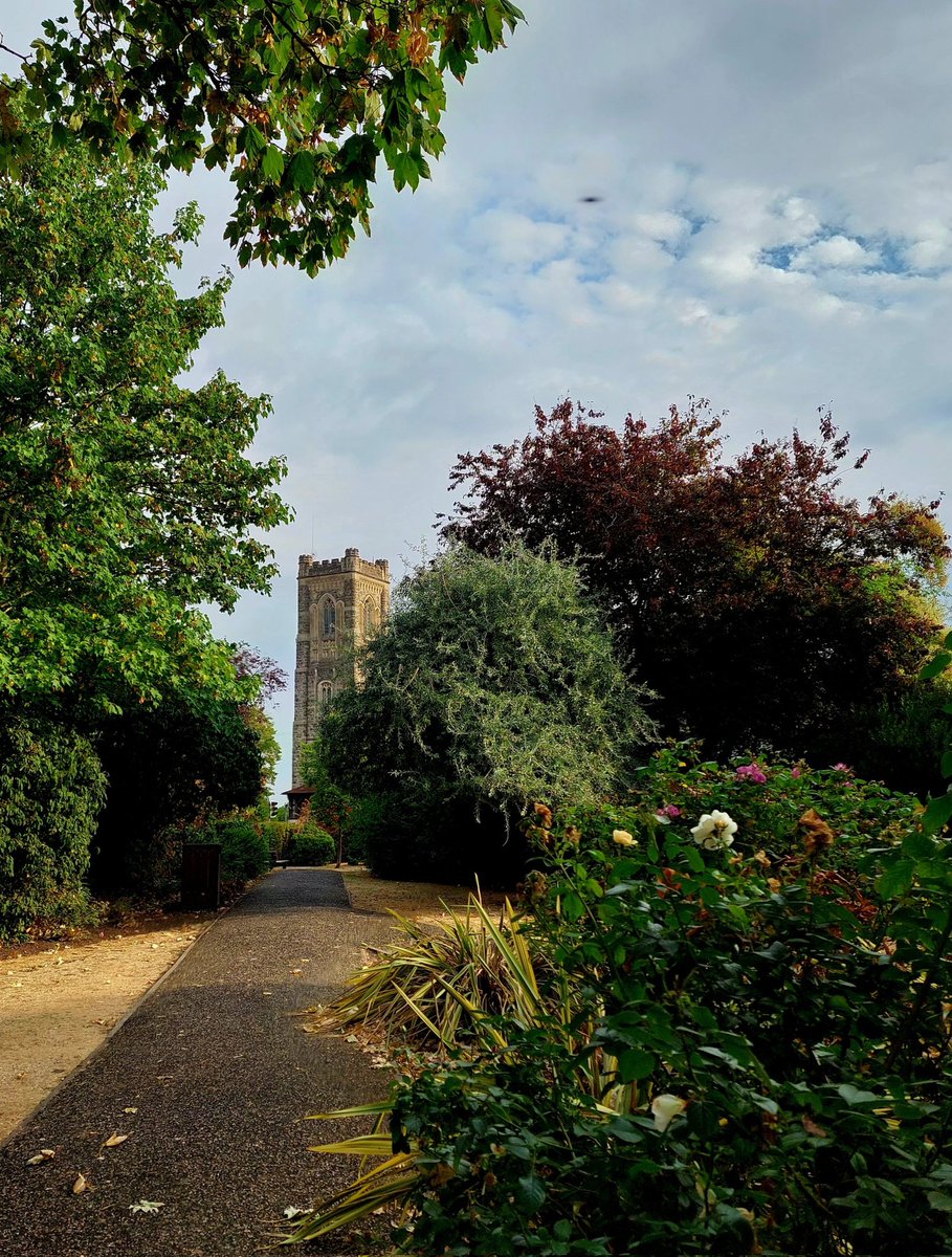 Early morning walk, so nice and cool, best time. All very dry and no sign of rain yet. Have a good day everyone... #nature