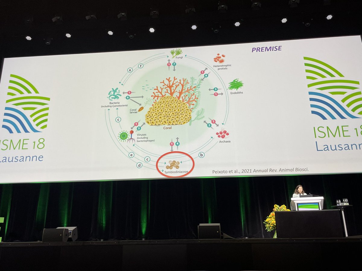 Amazing and inspiring talk by <a href="/peixotors/">Raquel Peixoto</a> (as always) in #ISME18 

And always highlighting our group, the dream team! It’s a pleasure working with this crew ❤️

<a href="/ISME_microbes/">ISME - International Society for Microbial Ecology</a> <a href="/KaustResearch/">KAUST Research</a>