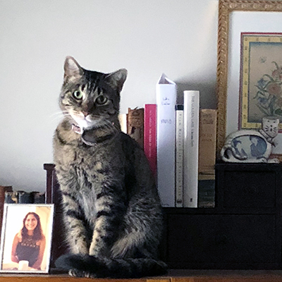 CraigBingham1's tweet photo. I wanted to post this picture, so I have written something. It is more meta than narrative. https://t.co/uQnEBJa4sg #books #CatsOfTwitter https://t.co/FkVTBwIByR