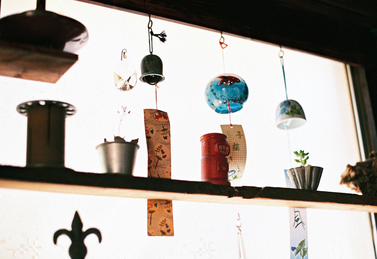 ヌイグモ tweet media