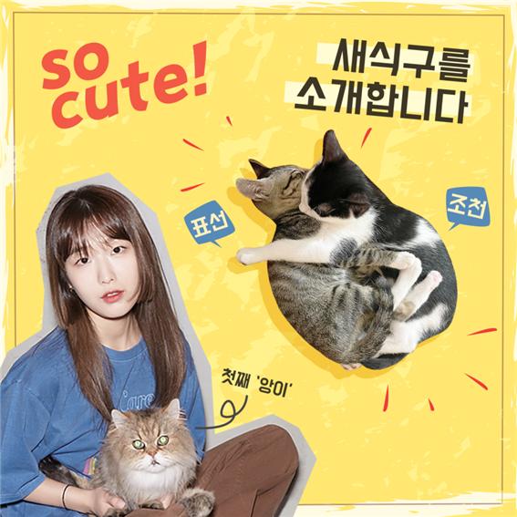 animalkorea's tweet photo. 치즈 님의 팬클럽 달소공 토핑이들이 치즈 님의 생일(8월 19일)을 기념하여 후원해주셨습니다.
자세히보기:
https://t.co/YPmib9CSyt
#CHEEZE #달총 #DALCHONG #HAPPYDALCHONGDAY #구일공팔일구 #임혜경생일축하해 #치즈앨범대박나자 #앙이를기억하며 #조천 #표선 #조천이와표선이새가족이된걸축하해 https://t.co/Kk1e7IPW8c