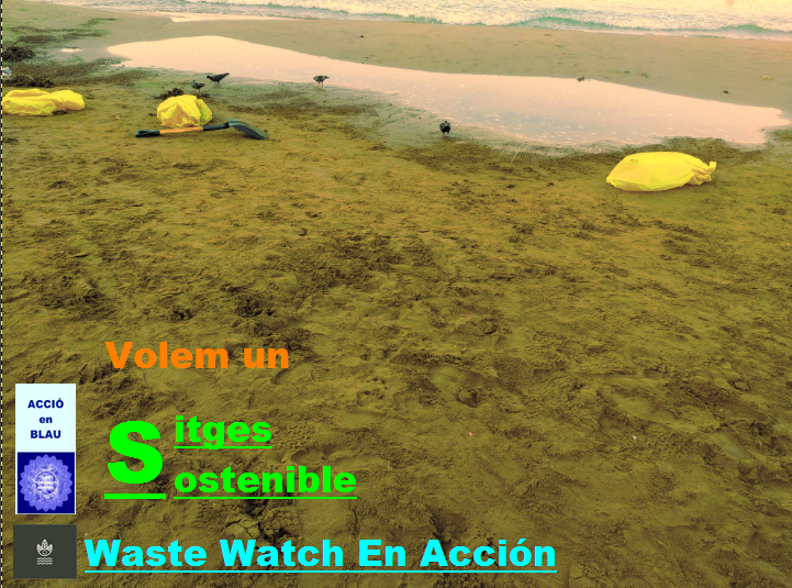 SVS_Sitges's tweet photo. A #PlatjaBalmins #Sitges, gran feinada de 2 #dones de #BrigadaPlatges, recollint #brossa marina i #residus llançat de terra que va tornar la marejada a la sorra de la riba. #alertadors de #WasteWatchEnAcción @SitgesSVS @watch_waste van detectar #equipament inadequat per la #feina https://t.co/gqn7eIe3rW