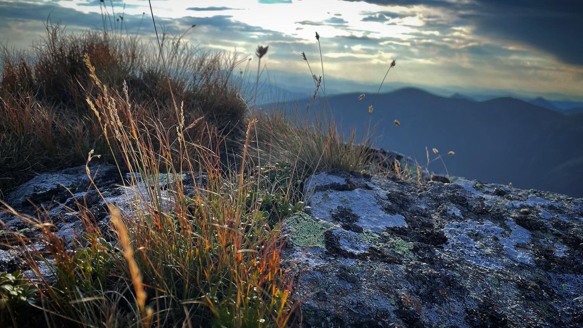 vaachus's tweet photo. #kad #nav #dukas #augstāk #kāpt #tad #guļās #pie #zemes #tatri #tatras #mini #atvaļinājums #slovakia #travel #hiking #mountainhiking #lanscapephotography #mountainscape https://t.co/uzzmfSW2ku