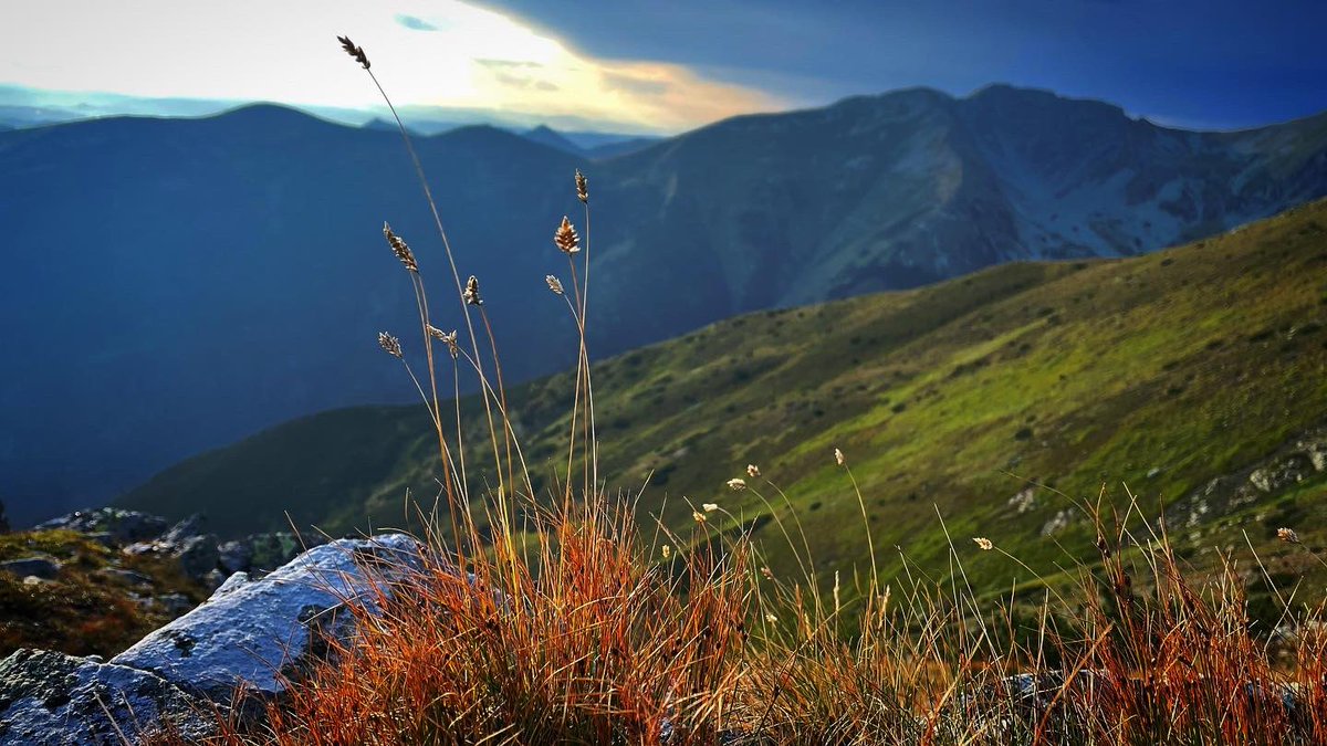 vaachus's tweet photo. #kad #nav #dukas #augstāk #kāpt #tad #guļās #pie #zemes #tatri #tatras #mini #atvaļinājums #slovakia #travel #hiking #mountainhiking #lanscapephotography #mountainscape https://t.co/uzzmfSW2ku