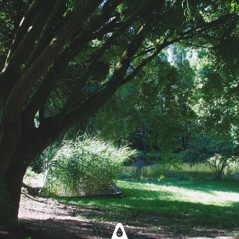 Aquatiris tweet media