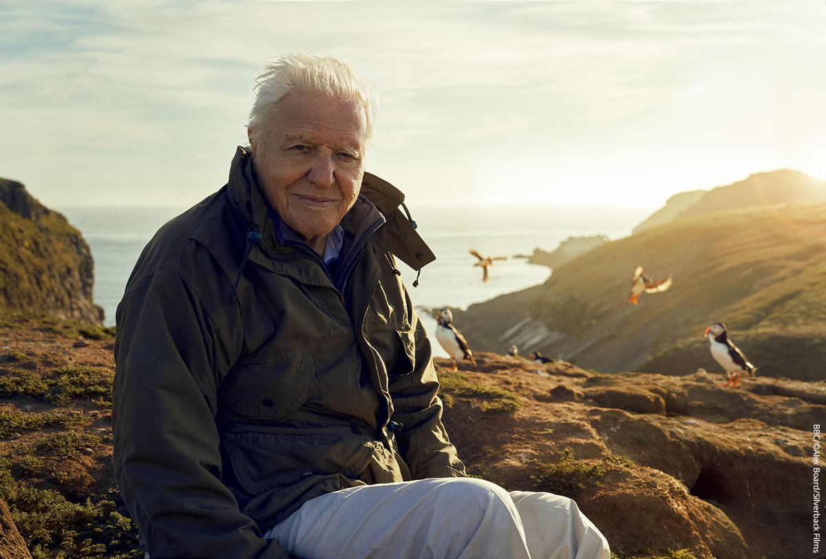 📢 COMING SOON: Wild Isles is a major new @BBC natural history series, presented by #SirDavidAttenborough. Co-produced by WWF, @Natures_Voice & the @OpenUniversity, it will reveal a previously unseen wild side of the UK – and show why our isles are so important for nature 🌳